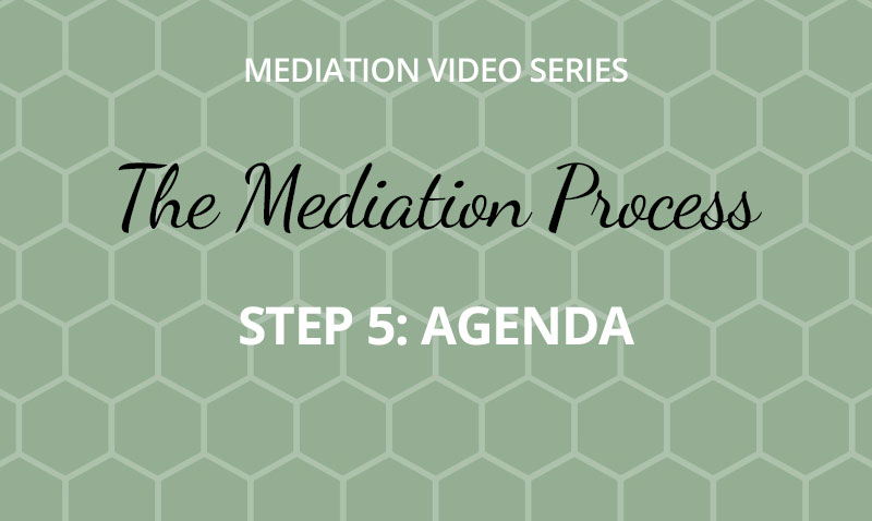 The Mediation Process -  Step 5: Agenda