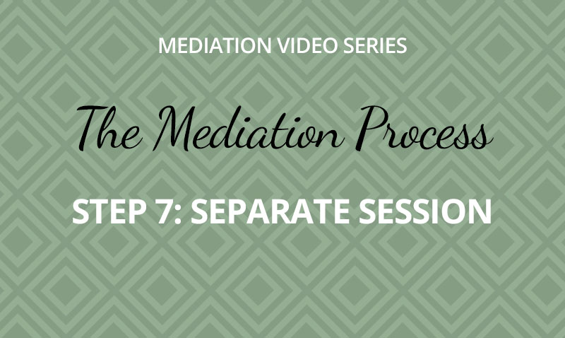 The Mediation Process -  Step 7: Separate Session