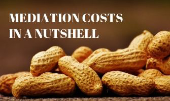 Mediation Costs in a Nutshell