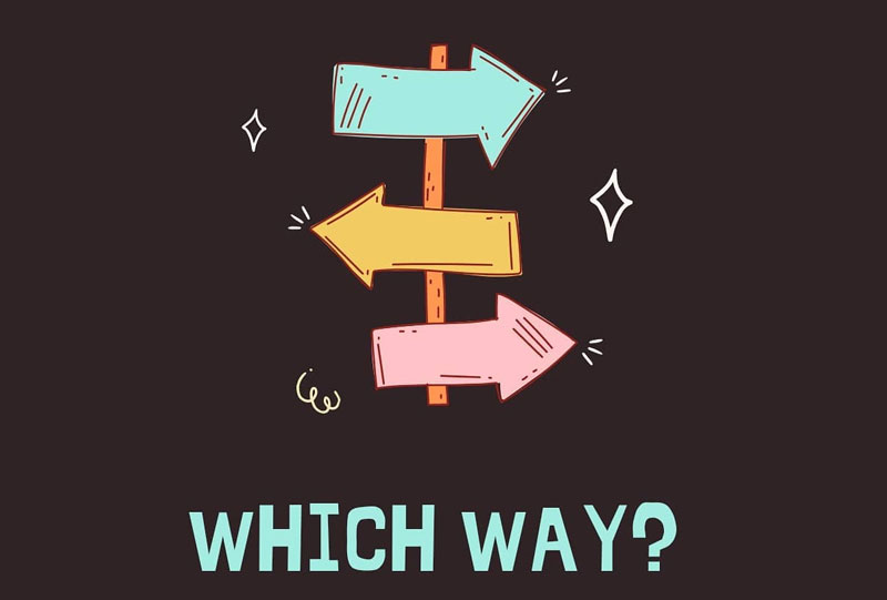 Which Way?